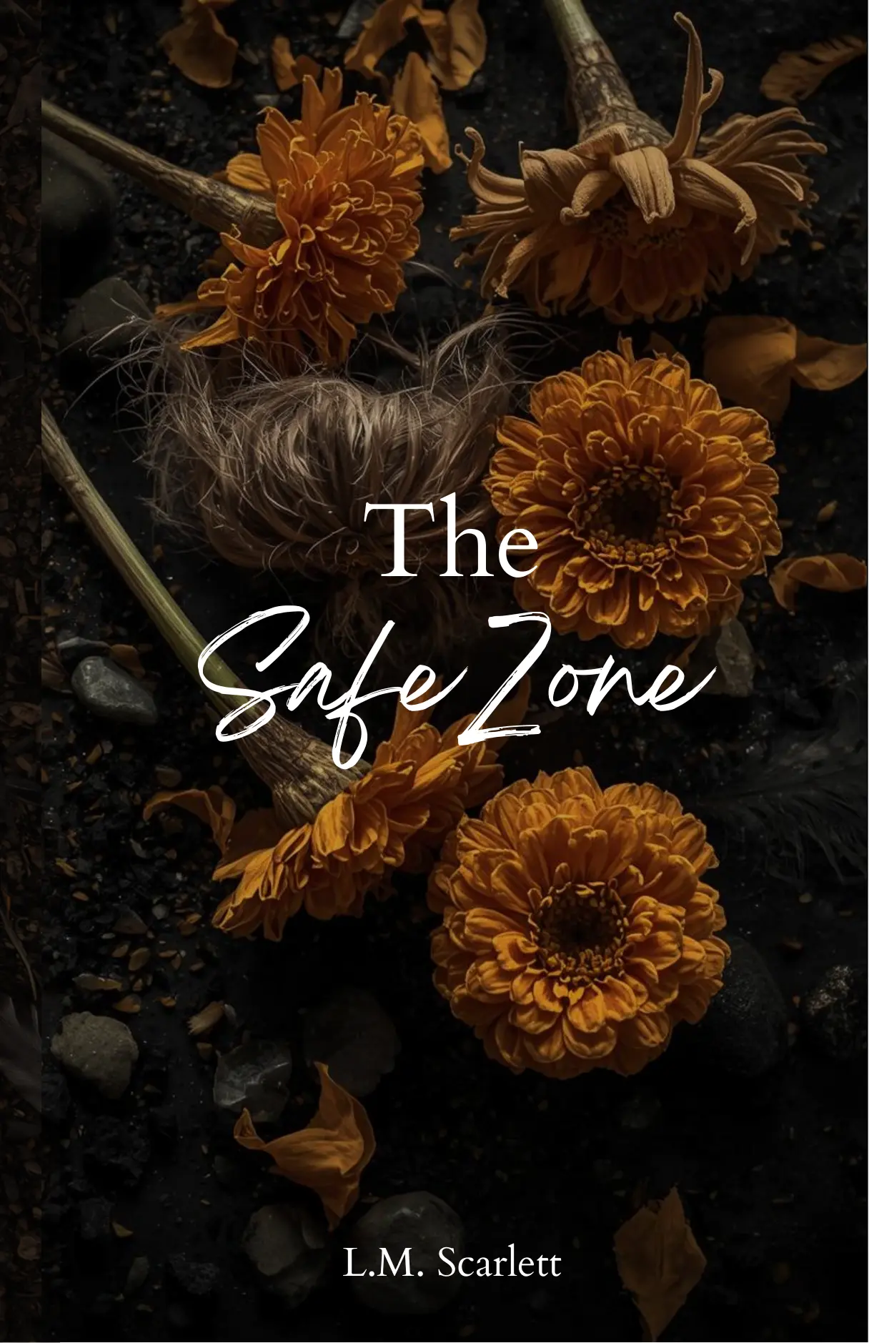 The Safe Zone book cover
