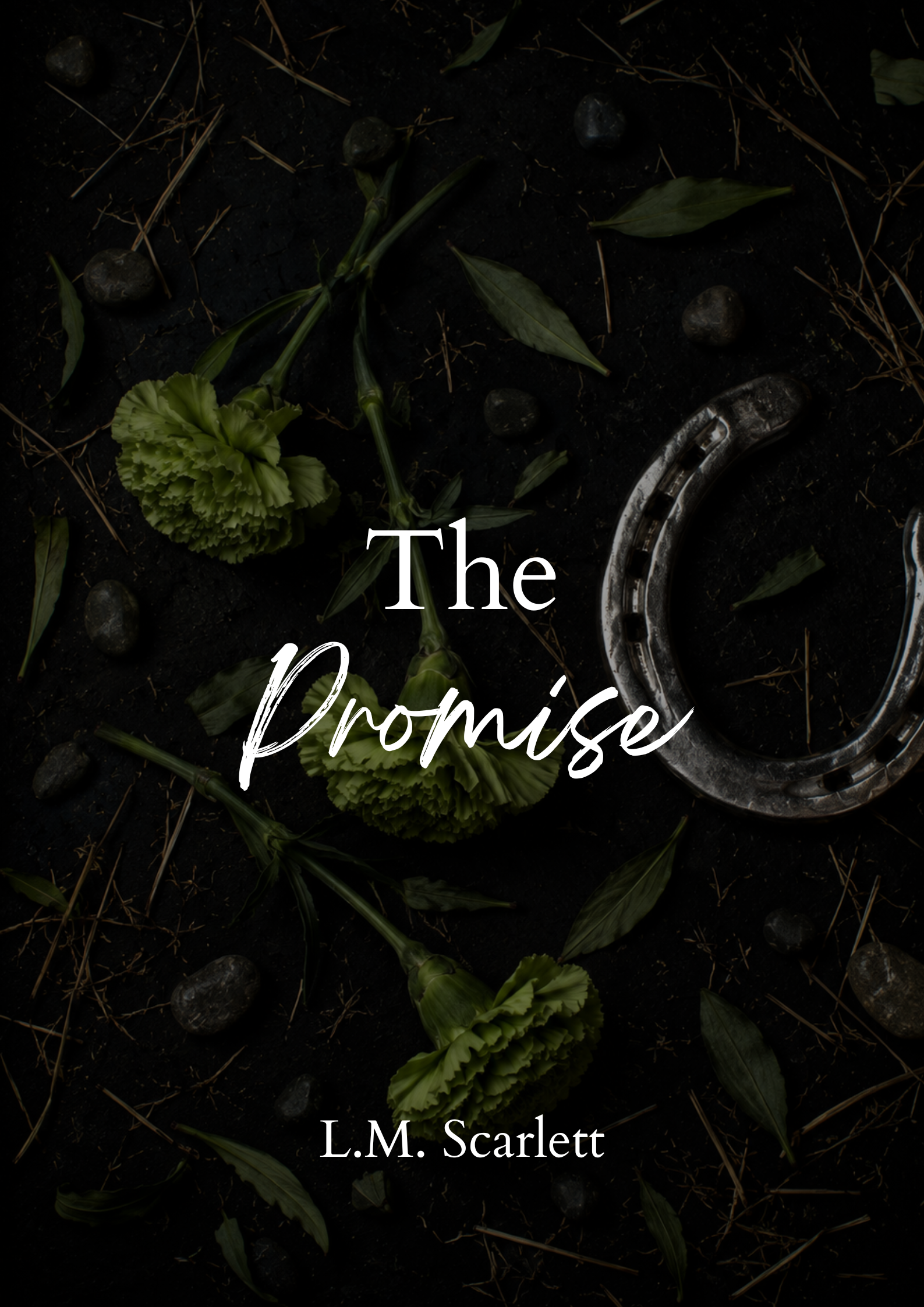 Front cover of The Promise by L.M. Scarlett
